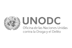UNODC.jpg